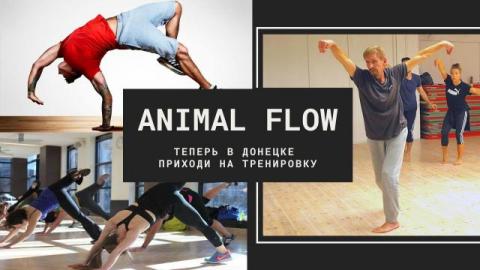 Animal Flow в Донецке. Регулярные тренировки